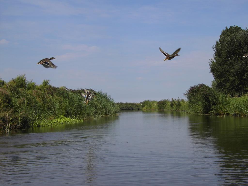 Bed and Breakfast De Energiek Wehe-den Hoorn Экстерьер фото