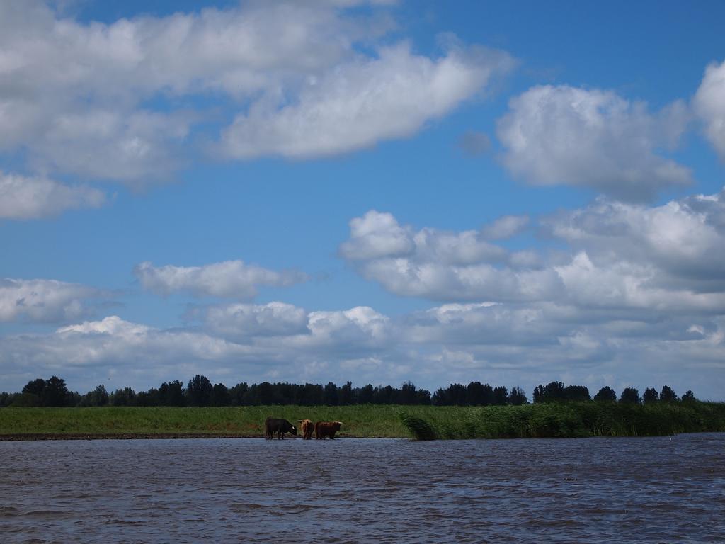 Bed and Breakfast De Energiek Wehe-den Hoorn Экстерьер фото